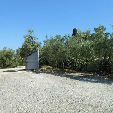 Poggio Rosemary